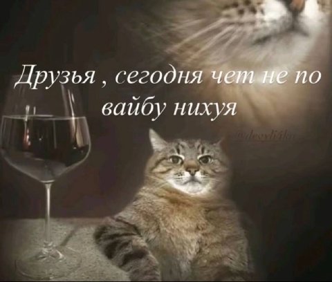 Друзья сегодня вайбу нихуя