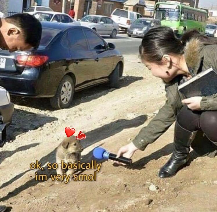 такой маленький а уже такой ебучий 💕