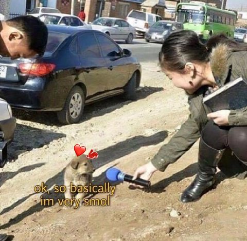 такой маленький а уже такой ебучий 💕