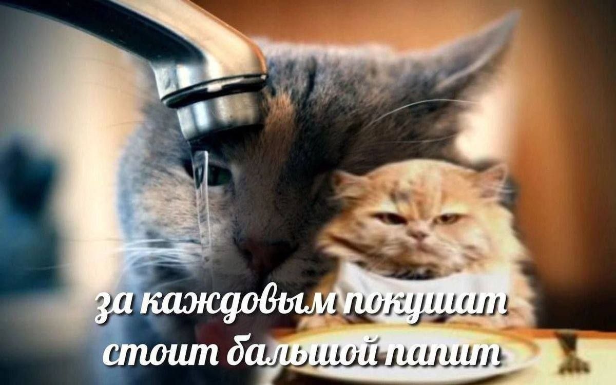 стоит