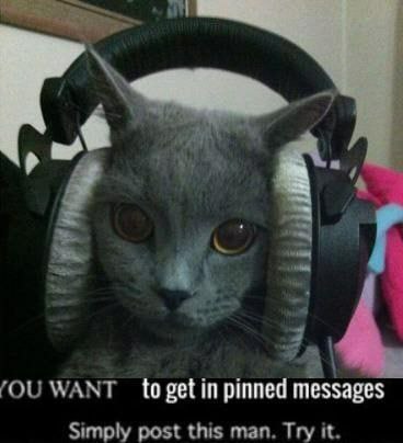 a} WANT to get in pinned messages Simply post this man. Try it.