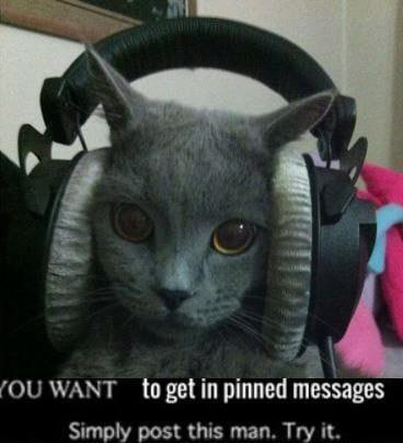a} WANT to get in pinned messages Simply post this man. Try it.