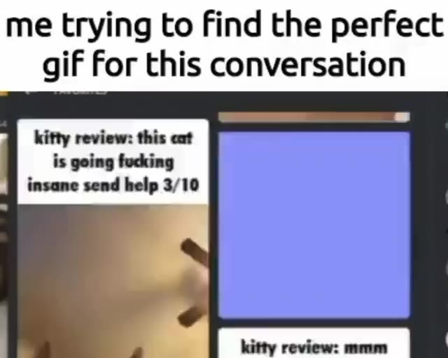 me trying to find the perfect is going fucking