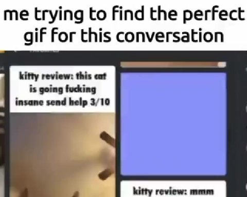 me trying to find the perfect is going fucking