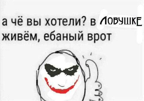 аче вы хотели? в живём, ебаный врот