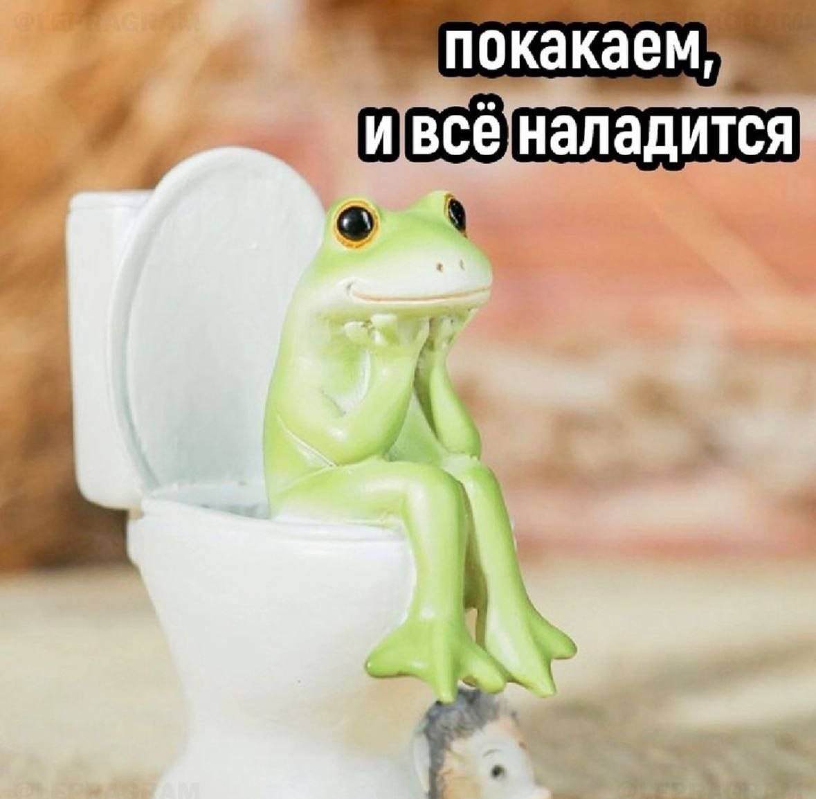 4 4