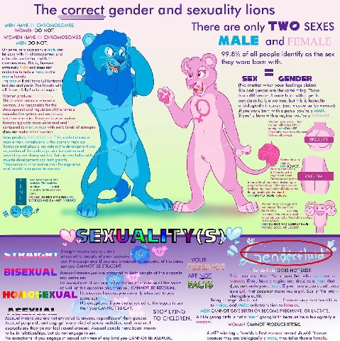 lity 9 у MEN HAVE CHROMOSOMES There are only EXE WOMEN HAVE CHROMOSOMES ALE MEN NOT. 4] and ‘On some rare occasions а male can be born with chromosomes, and 99.8% of all people identify as the sex fem