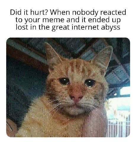 Did it hurt? When nobody reacted to your meme and it ended up lost in the great internet abyss и