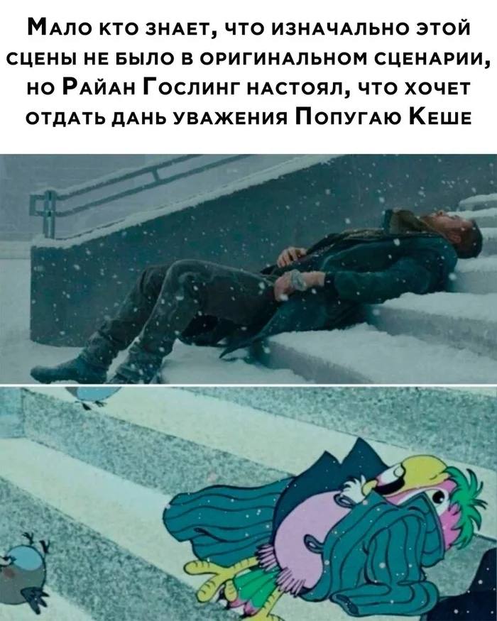 МАЛО КТО ЗНАЕТ, ЧТО ИЗНАЧАЛЬНО ЭТОЙ СЦЕНЫ НЕ БЫЛО В ОРИГИНАЛЬНОМ СЦЕНАРИИ, но РАЙАН ГОСЛИНГ НАСТОЯЛ, ЧТО ХОЧЕТ ОТДАТЬ ДАНЬ УВАЖЕНИЯ ПОПУГАЮ КЕШЕ