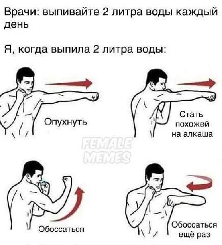 Врачи: выпивайте 2 литра воды каждый день Я, когда выпила 2 литра воды: Стать Опухнуть похожей на алкаша Обоссаться Обоссаться ещё раз