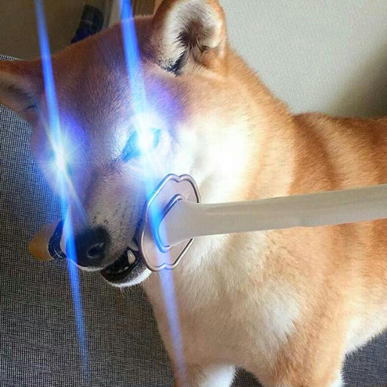 Thy 7 3 its 3 в у у у