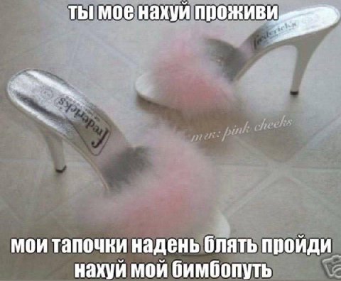 ты мое нахуй мои тапочки надень блять пройди нахуй мой бимбопуть