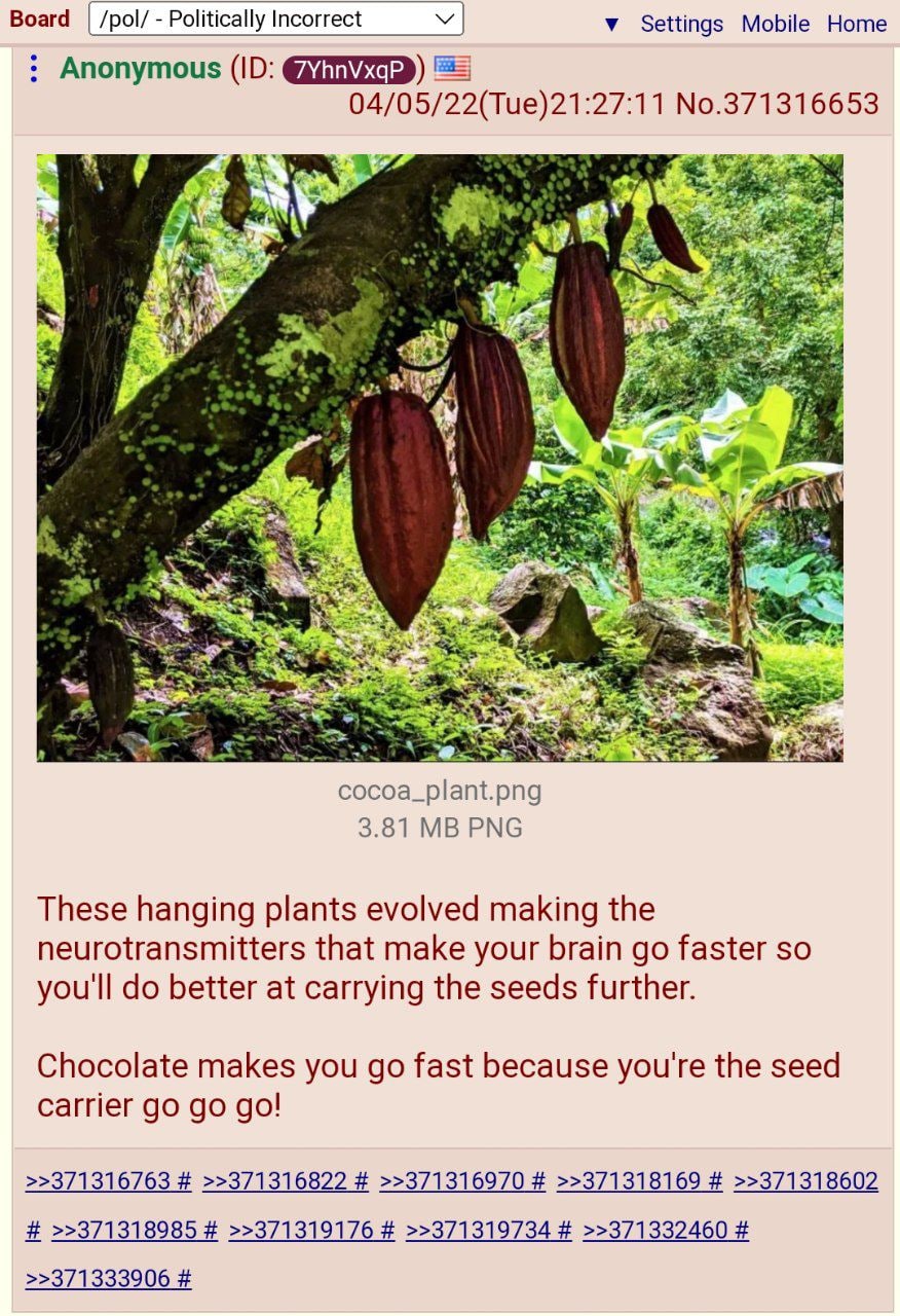 Board Politically Incorrect у Settings Mobile Home Anonymous 04/05/22(Tue)21:27:11 No.371316653 i> AS 3.81 РМС These hanging plants evolved making the neurotransmitters that make your brain faster so 