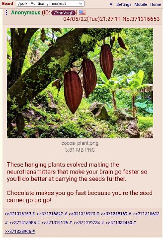 Board Politically Incorrect у Settings Mobile Home Anonymous 04/05/22(Tue)21:27:11 No.371316653 i> AS 3.81 РМС These hanging plants evolved making the neurotransmitters that make your brain faster so 