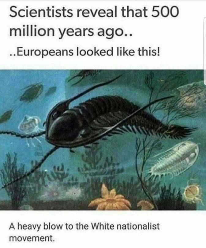 Scientists reveal that 500 million years ago.. ..Europeans looked like this! у A heavy blow to the White nationalist movement.
