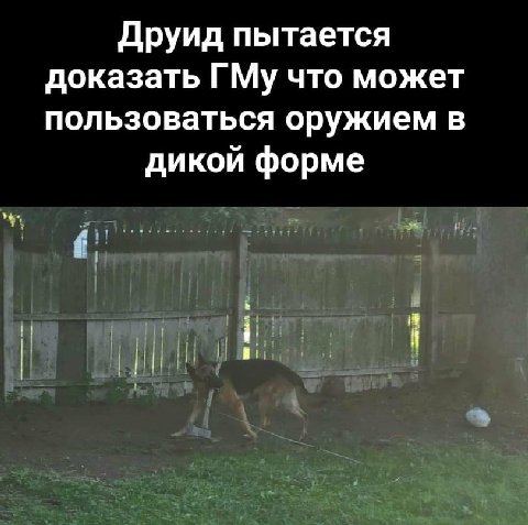 Друид пытается доказать ГМу что может пользоваться оружием в дикой форме
