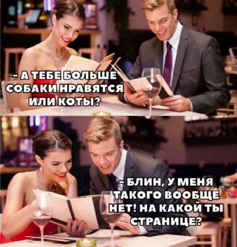 БОЛЬШЕ\ СОБАКИ НРАВЯТСЯ коты?! —a БЛИН, УМЕНЯ ТАКОГО ВООБЩЕ НЕТ! НА КАКОЙ ты СТРАНИЦЕ?