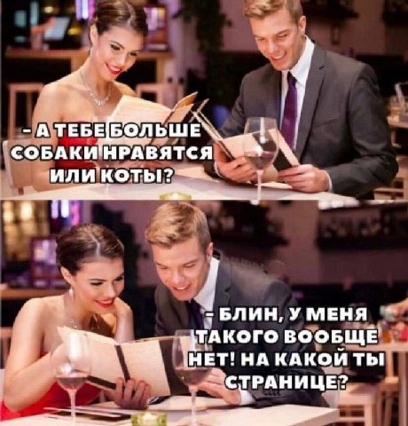 БОЛЬШЕ\ СОБАКИ НРАВЯТСЯ коты?! —a БЛИН, УМЕНЯ ТАКОГО ВООБЩЕ НЕТ! НА КАКОЙ ты СТРАНИЦЕ?