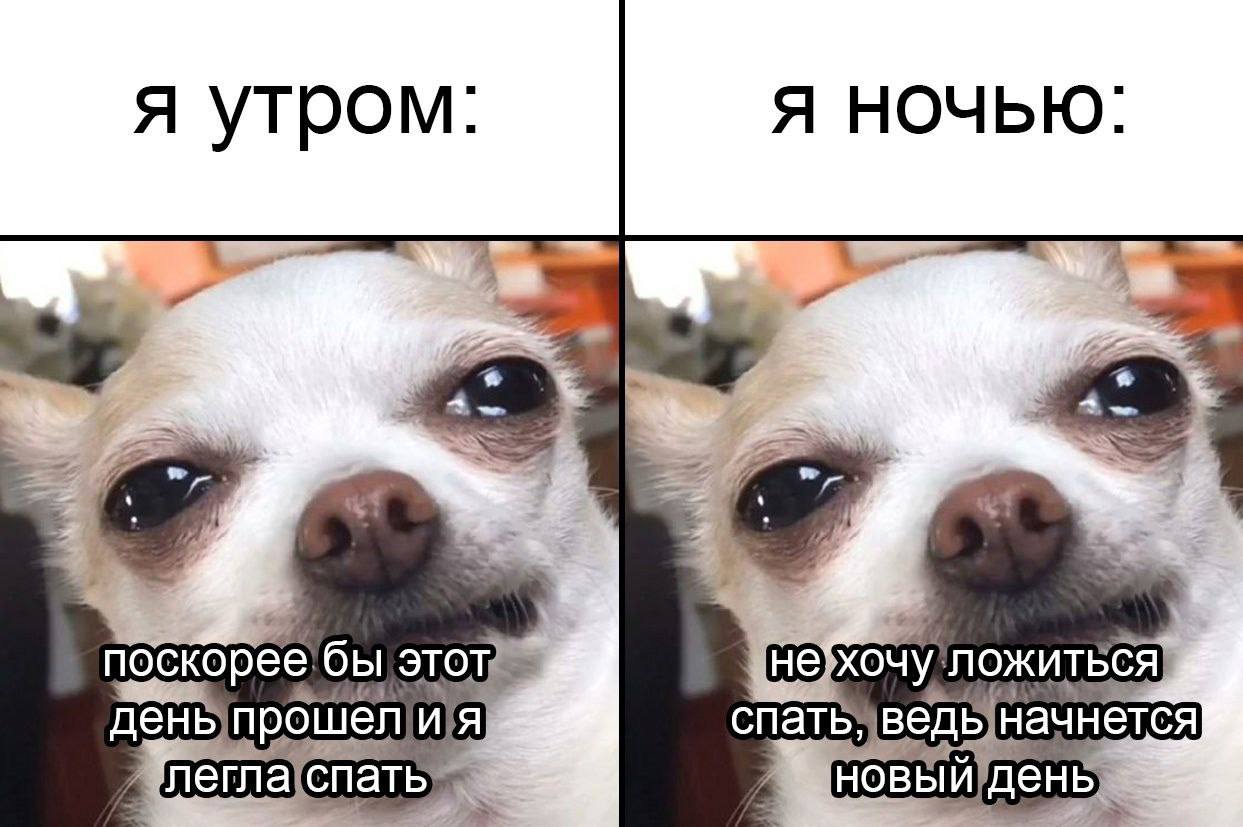я утром Я НОЧЬЮ 7 поскорее!бы! этот не: ложиться] деныпрошел спать; начнется