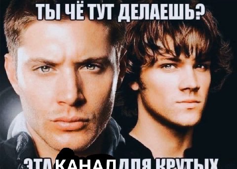 ТЫ ЧЕТУТ ДЕЛАЕШЬ?