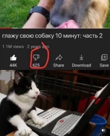 глажу свою собаку 10 минут: часть 2 views 2 о у A 625 Share Download Save