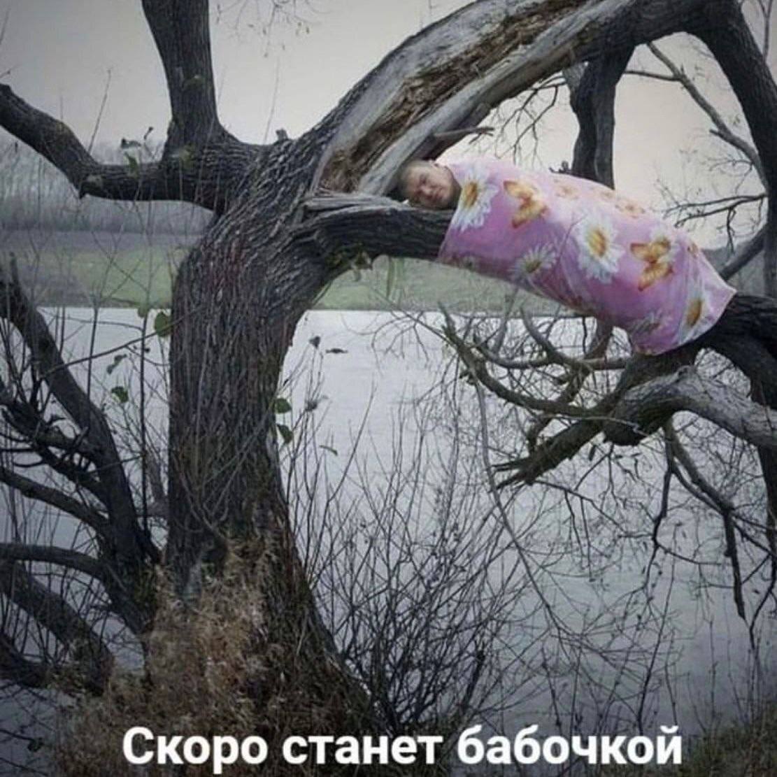 Скоро станет бабочкой