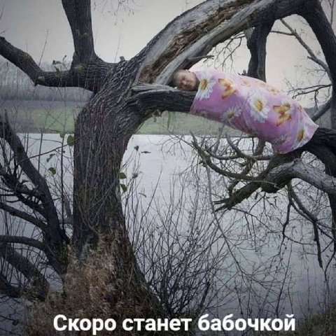 Скоро станет бабочкой