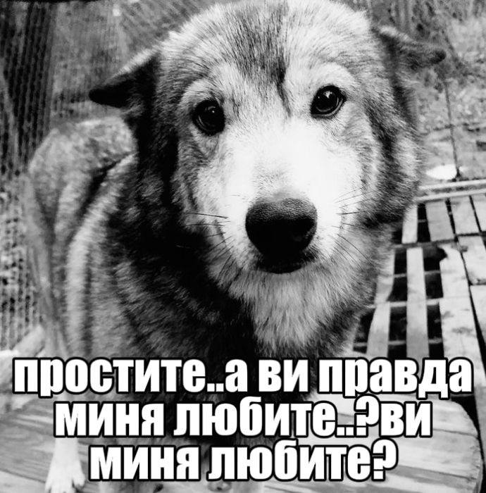 Кто