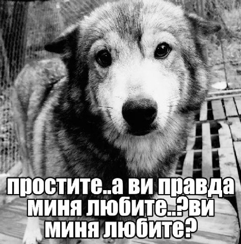 Кто
