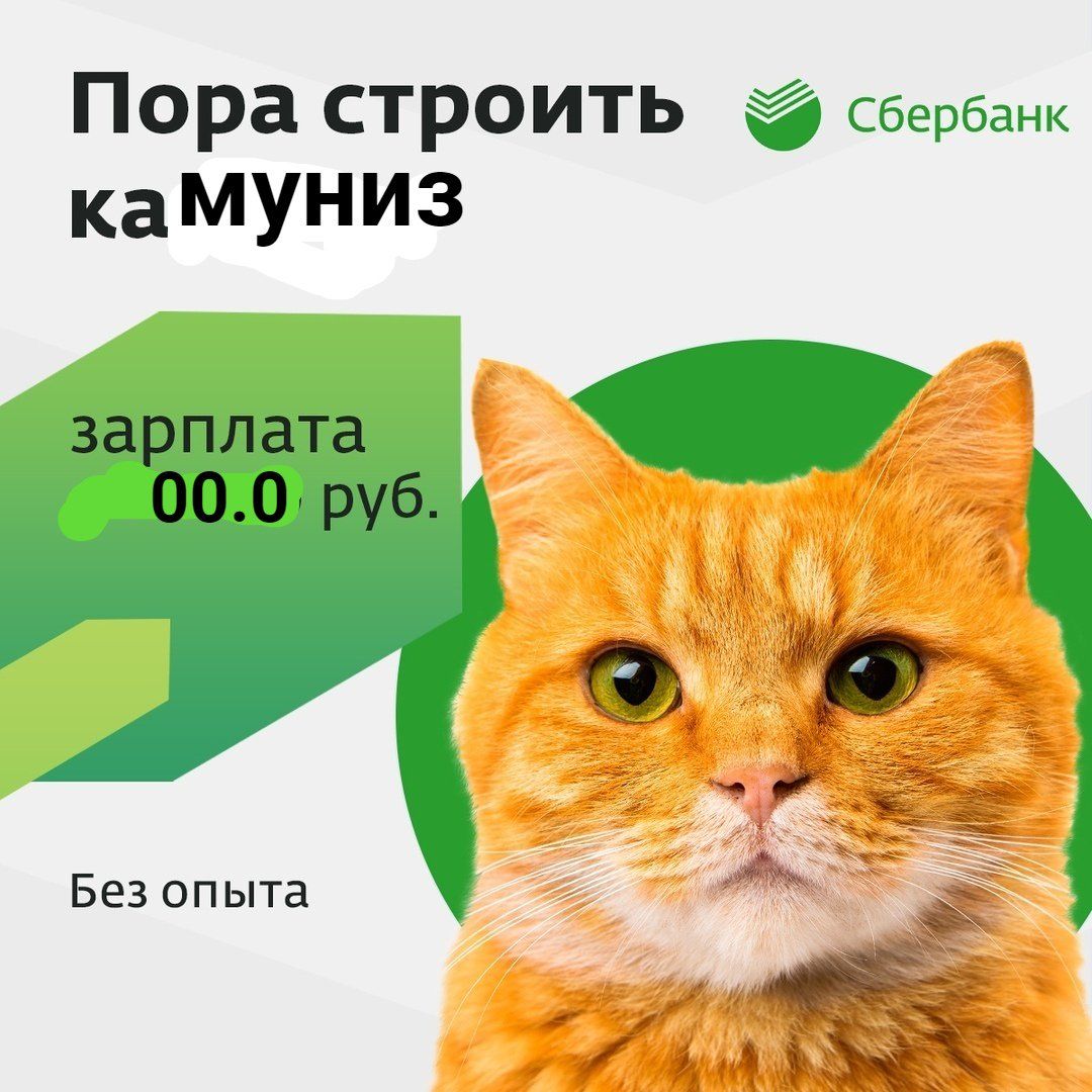 Пора строить камуниз Без опыта