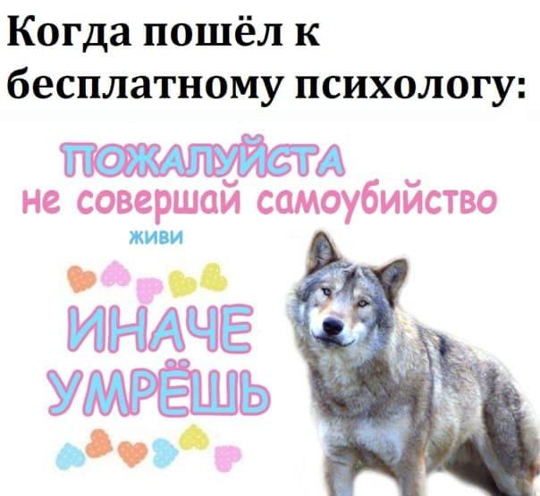 Когда пошёл к бесплатному психологу: ПОЖАЛУЙСТА не совершай самоубийство ИНАЧЕ