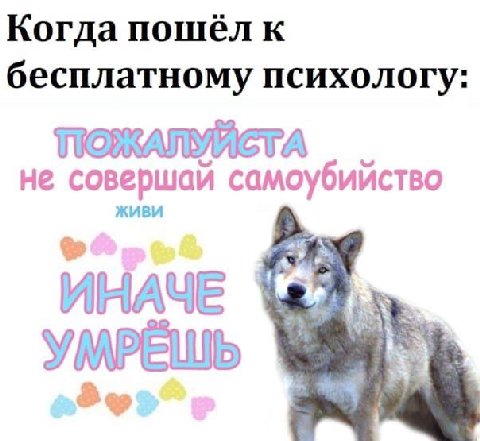 Когда пошёл к бесплатному психологу: ПОЖАЛУЙСТА не совершай самоубийство ИНАЧЕ