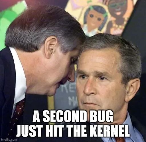 АЗЕСОМО BUG JUST HIT THE KERNEL