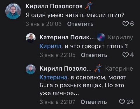 Кирилл Позолотов Я один умею читать мысли птиц? янв в 20:03 Ответить Катерина Полик... Кириллу Кирилл, и что говорят птицы? 3 янв в 22:05 Ответить Кирилл Позоло... Катерине Катерина, в основном, молят