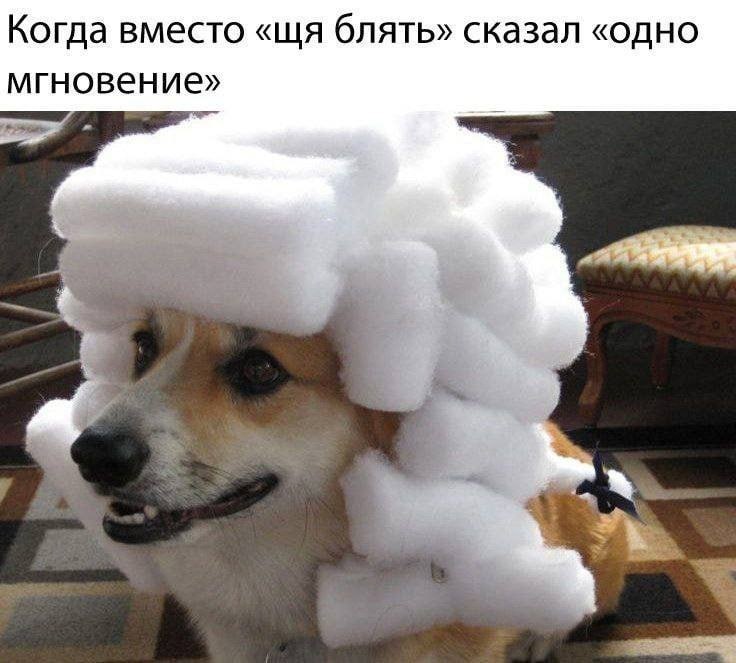 Когда вместо блять» сказал «одно мгновение»