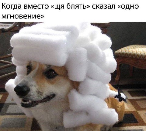 Когда вместо блять» сказал «одно мгновение»
