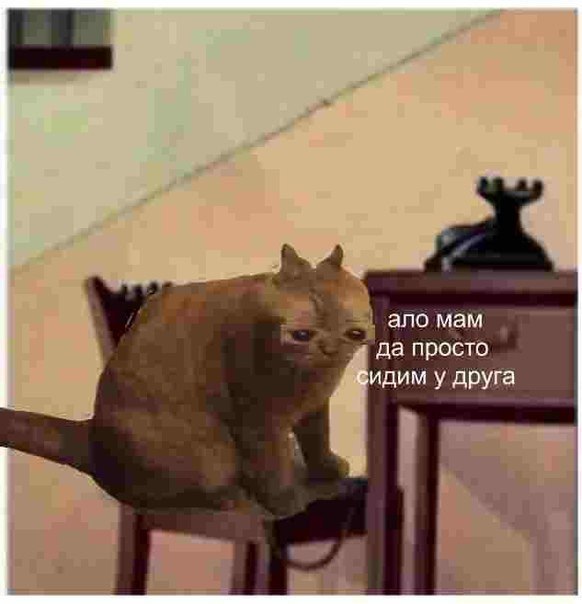 ало мам да просто сидим у друга