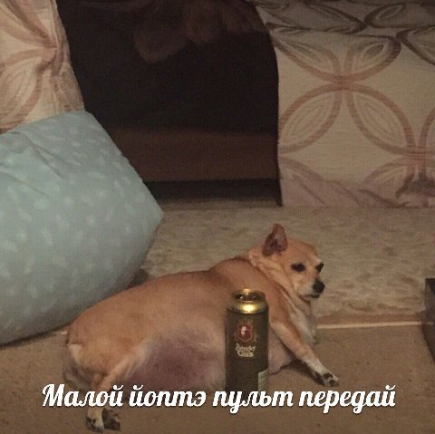 Малой йоптэ пульт передай