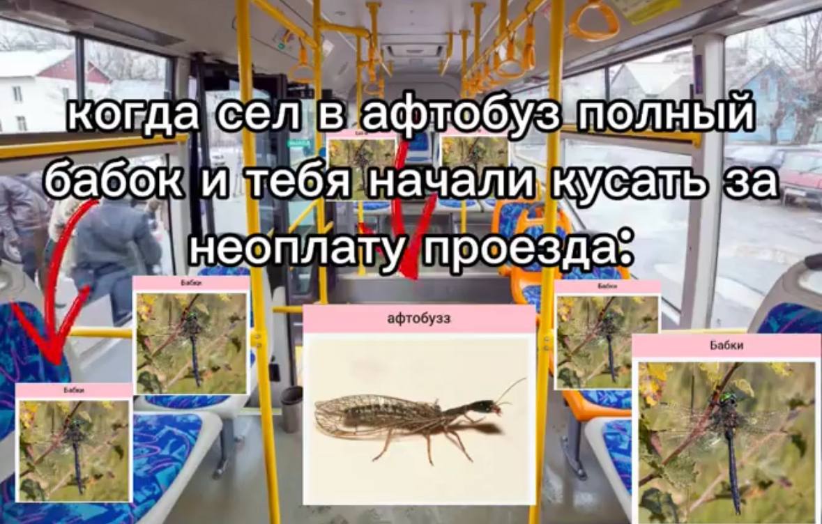 а 3a у проезда: афтобузз Бабк A ANS
