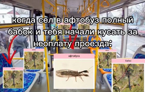 а 3a у проезда: афтобузз Бабк A ANS