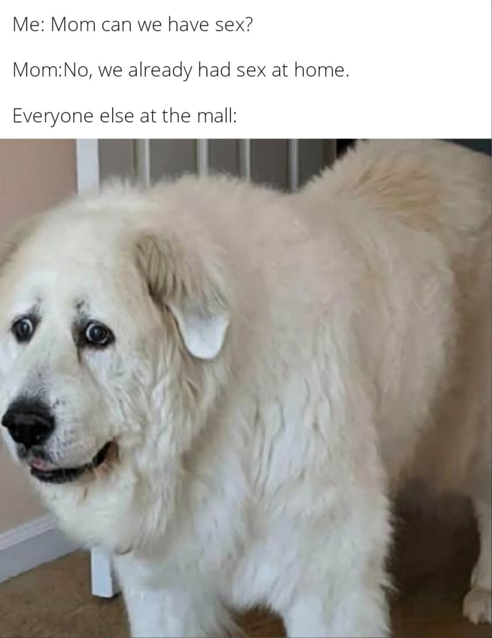 Me: Мот can we have sex? Mom:No, we already had sex at home. Everyone else at the mall: ‚7
