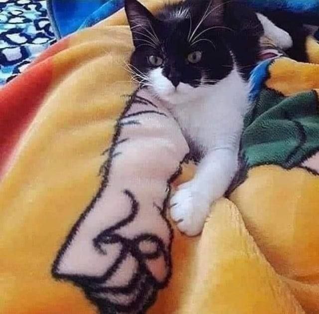 я