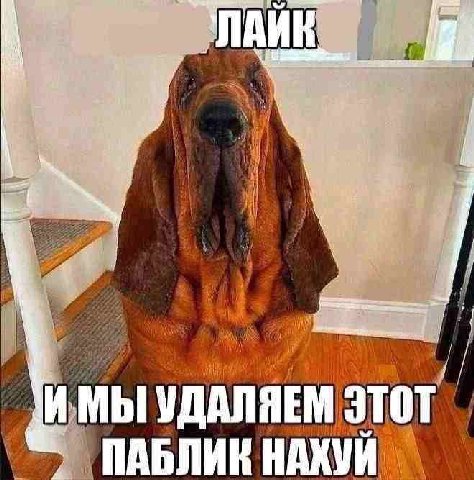АЛЯЕМ ИМЫУД ПАБЛИК НАХУЙ