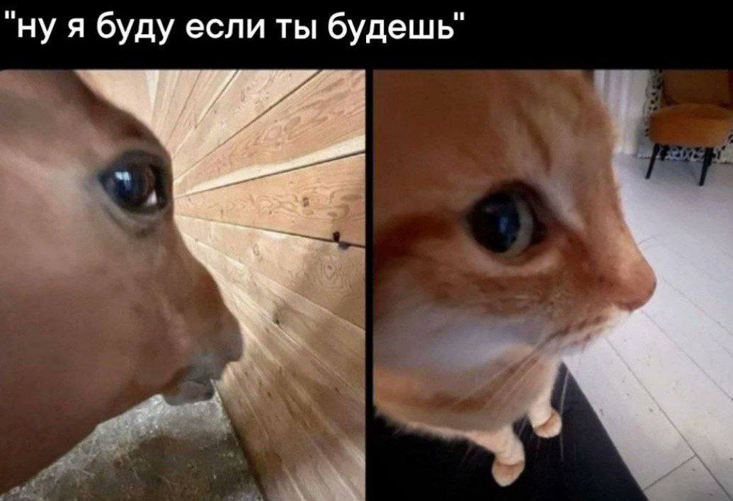 ‘ну я буду если ты будешь" 70
