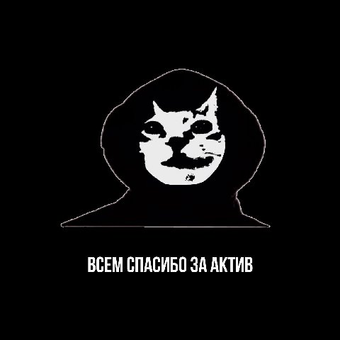 ВСЕМ СПАСИБО ЗА АКТИВ