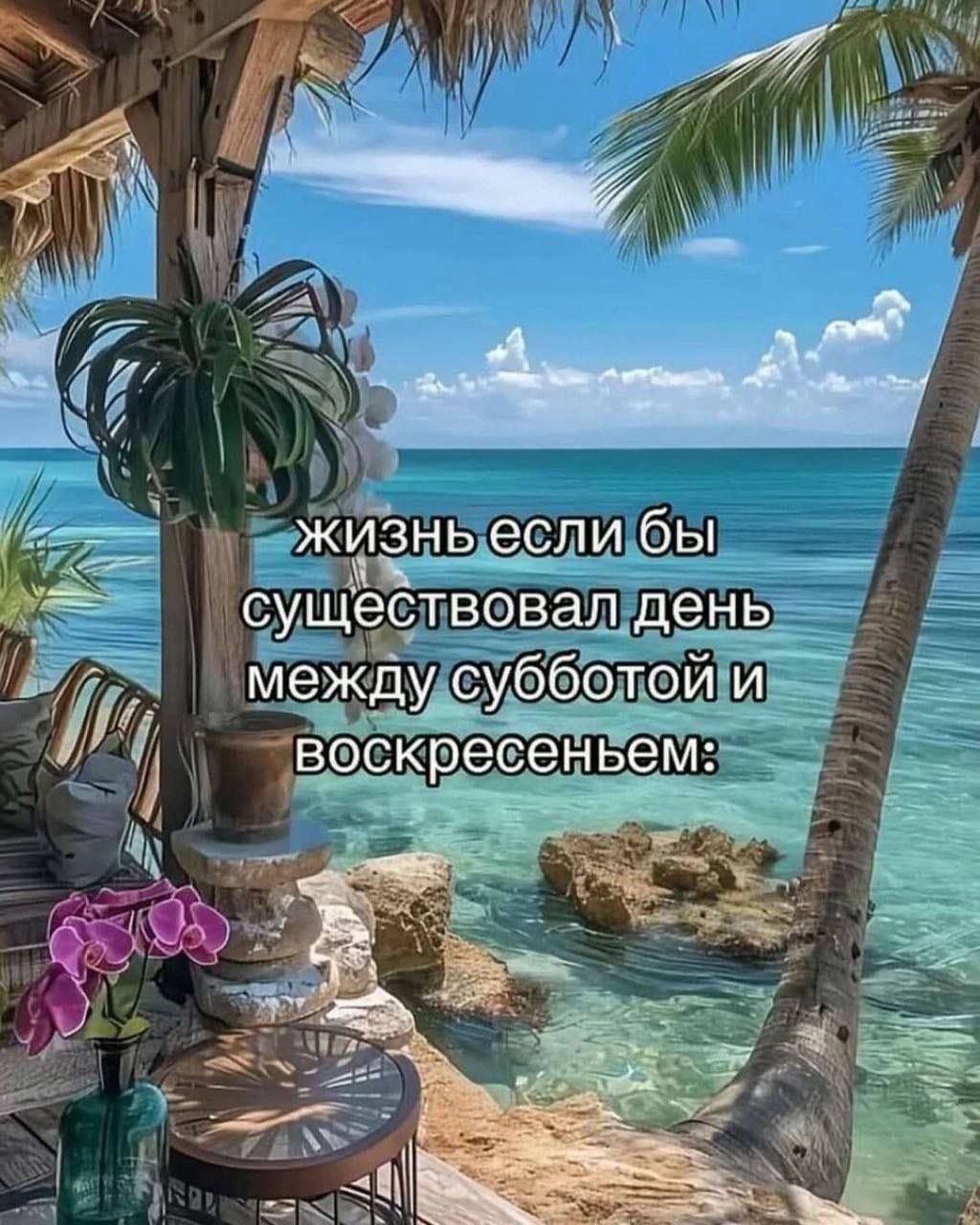 жизнь если бы существовал день Между субботой и воскресеньем: