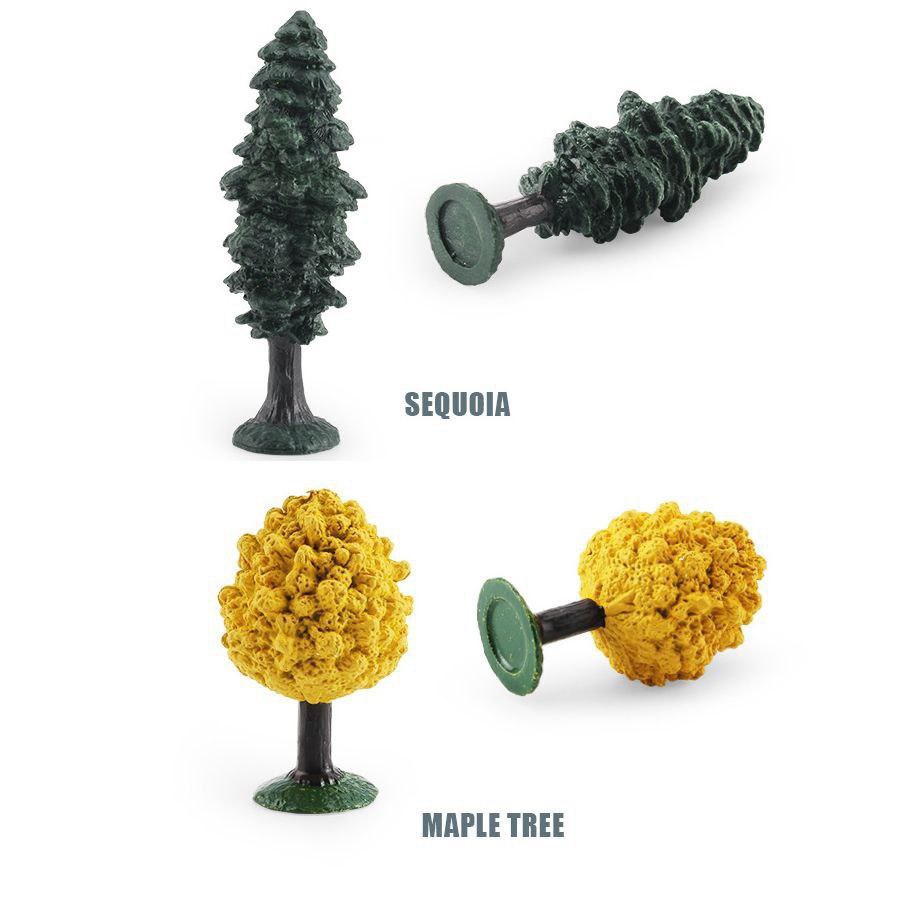 SEQUOIA MAPLE TREE