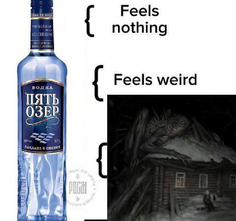 ОКА OF SIBER Feels НИКАЛЬНАЯ nothing ВОДКА ПЯТЬ Feels weird O3EP я 40: 0 Cosy СИБИРИ