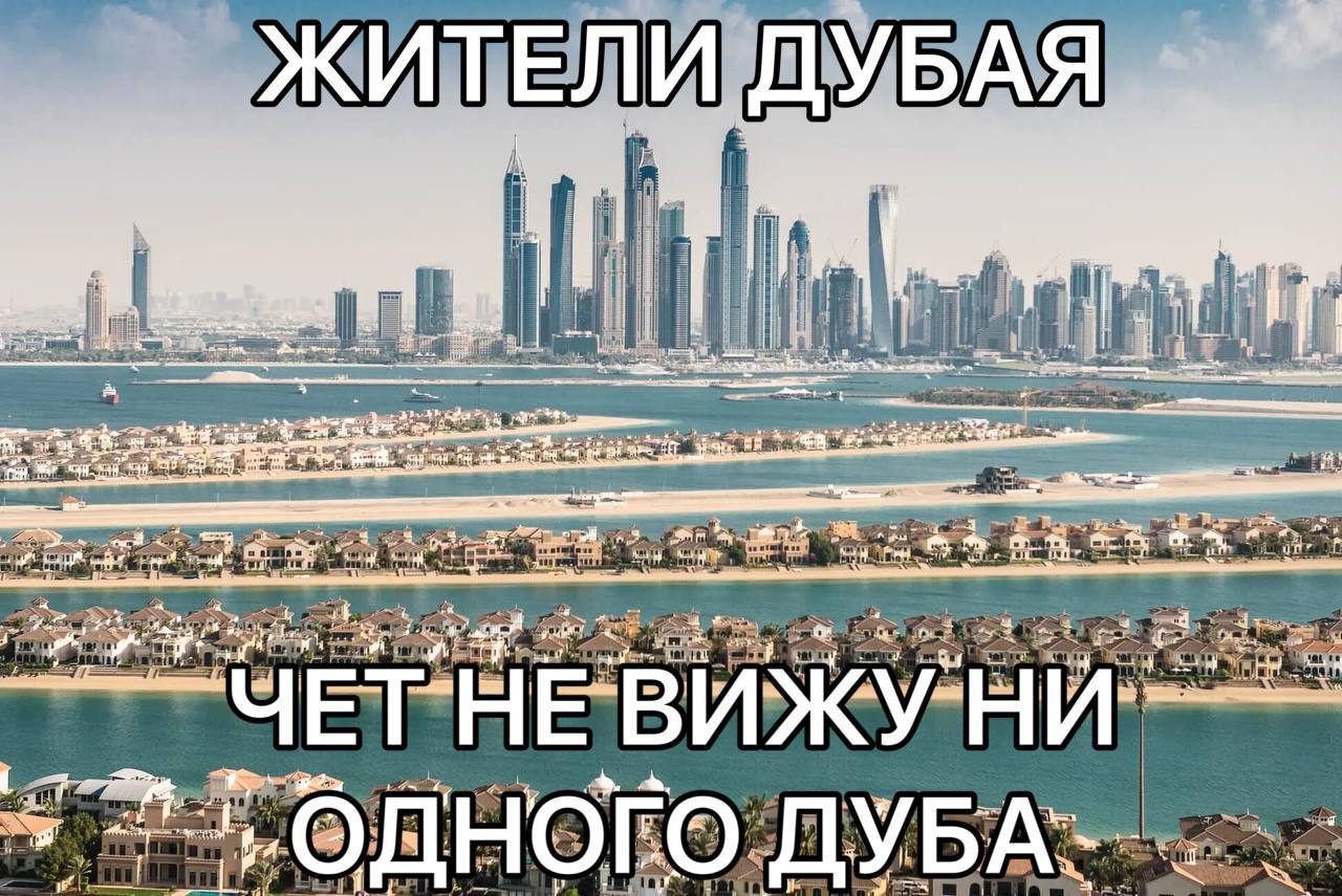 ЖИТЕЛИ wey a у tir Or”. а. if 4 у of a О 1