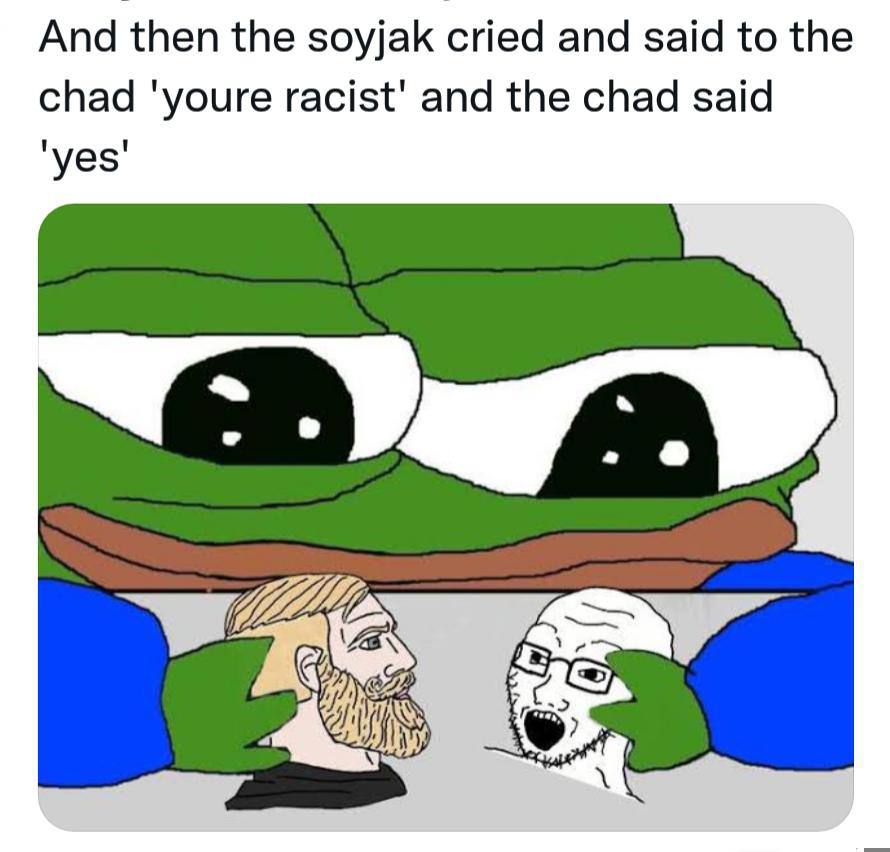 And then the soyjak cried and said to the chad ‘youre racist’ and the chad said 'уез'